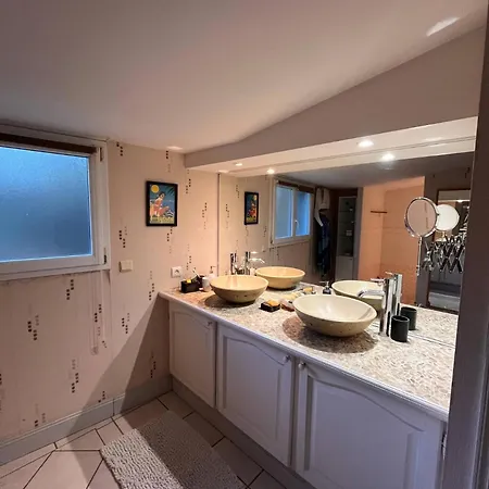 Feriehus Maison De 12 Personnes Champniers (Charente)